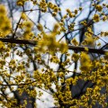 IMG_9031