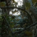 IMG_9284-2