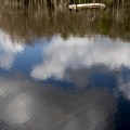 IMG_9587