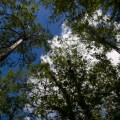 IMG_9603