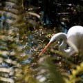 IMG_9730-2