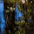 IMG_9972